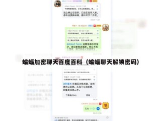 蝙蝠加密聊天百度百科（蝙蝠聊天解锁密码）